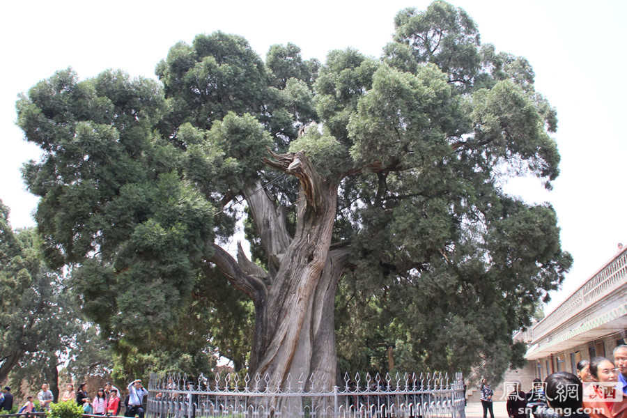 他仅用四天写的电子书赚了280万 怎么做到的?-ky.com(图3)
他仅用四天写的电子书赚了280万 怎么做到的?-ky.com(图3)