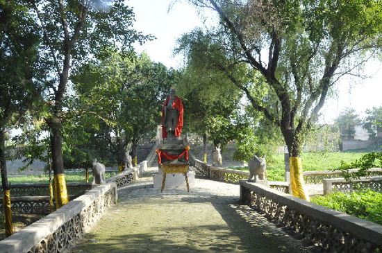 精选美食：虾酱空心菜、蛋液煎馒头、微波烤虾、酸汤养生虾的做法