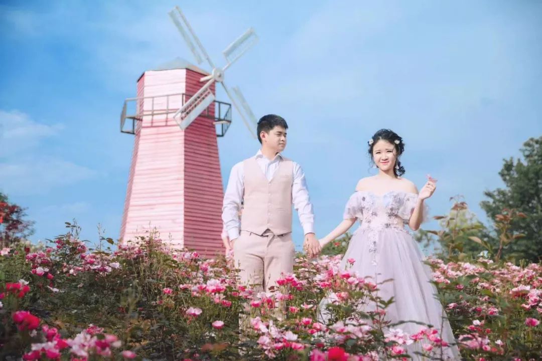 ky.com_董明珠被免职的背后有何深意？(图2)