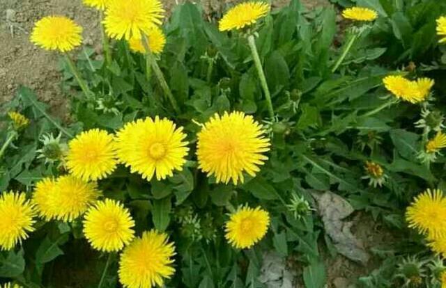 “kycom”蒋劲夫家暴风波后最新动态消息 蒋劲夫生日几月几日(图2)