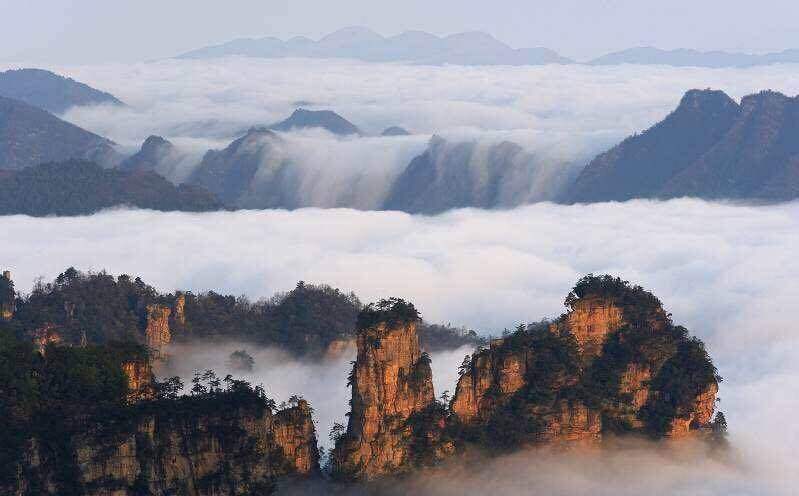 美食专家教你做好吃的家常菜，先学这四道吧：kycom(图4)