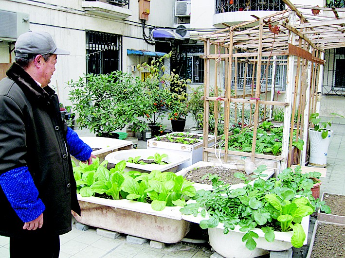 什锦糯米蛋的做法_#信任之美#什锦糯米蛋_什锦糯米蛋怎么做_