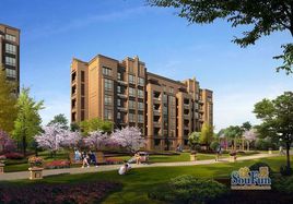 ‘ky.com’截污装置帮雨水口减九成垃圾(图4)