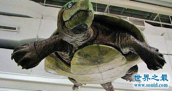 奶香麻花的做法_奶香麻花怎么做_美厨娘飘雪的菜谱‘ky.co