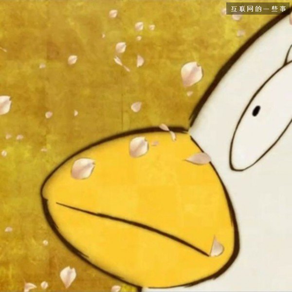 kycom_精选美食推荐：糖醋排骨，辣椒炒猪肝，椒盐鸡排的做法(图2)