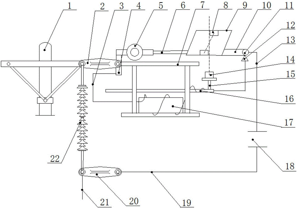【ky.com】立夏要吃点营养的食材，把这两种工具，倒入锅中一起炖，实在鲜美(图3)