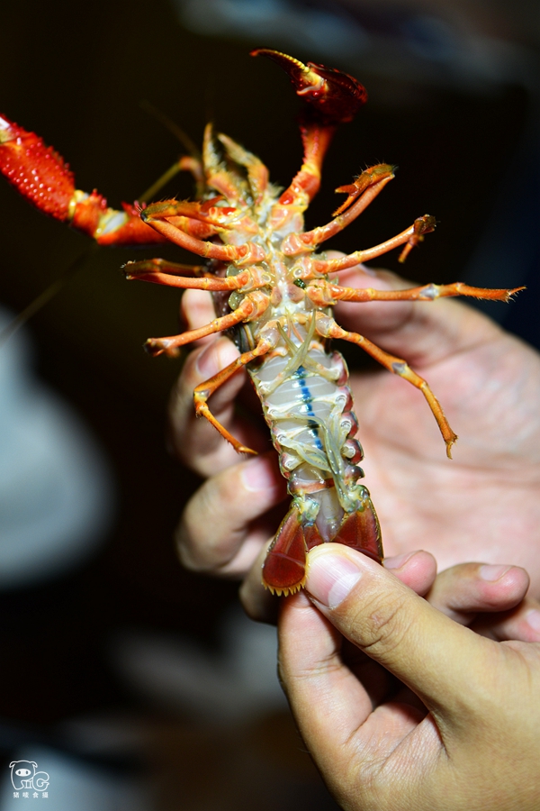 郑州新建六所中小学幼儿园今年暑期开始招生-kycom(图2) 郑州新建六所中小学幼儿园今年暑期开始招生-kycom(图2)