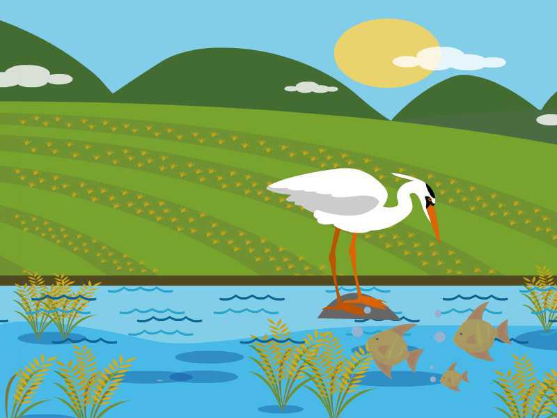 3月18日印度疫情最新消息情况：新冠肺炎确诊病例增至137例：ky.com(图3)